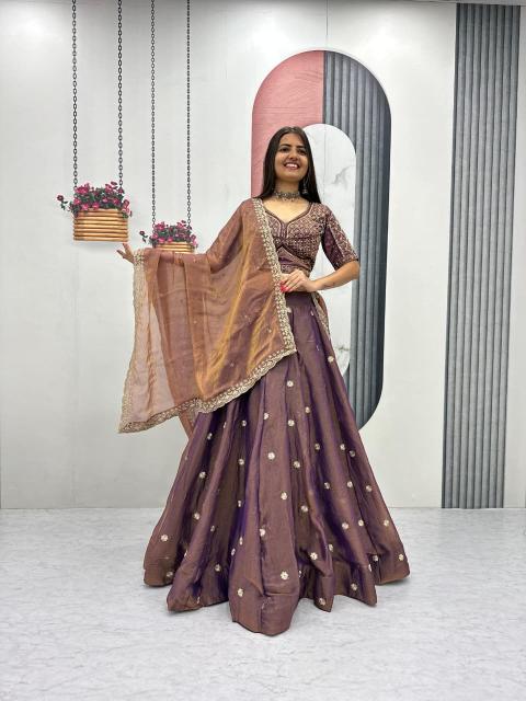 Tapi 320 Mosh Brown Wholesale bridal lehenga market in Delhi